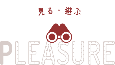 見る・遊ぶ PLEASURE