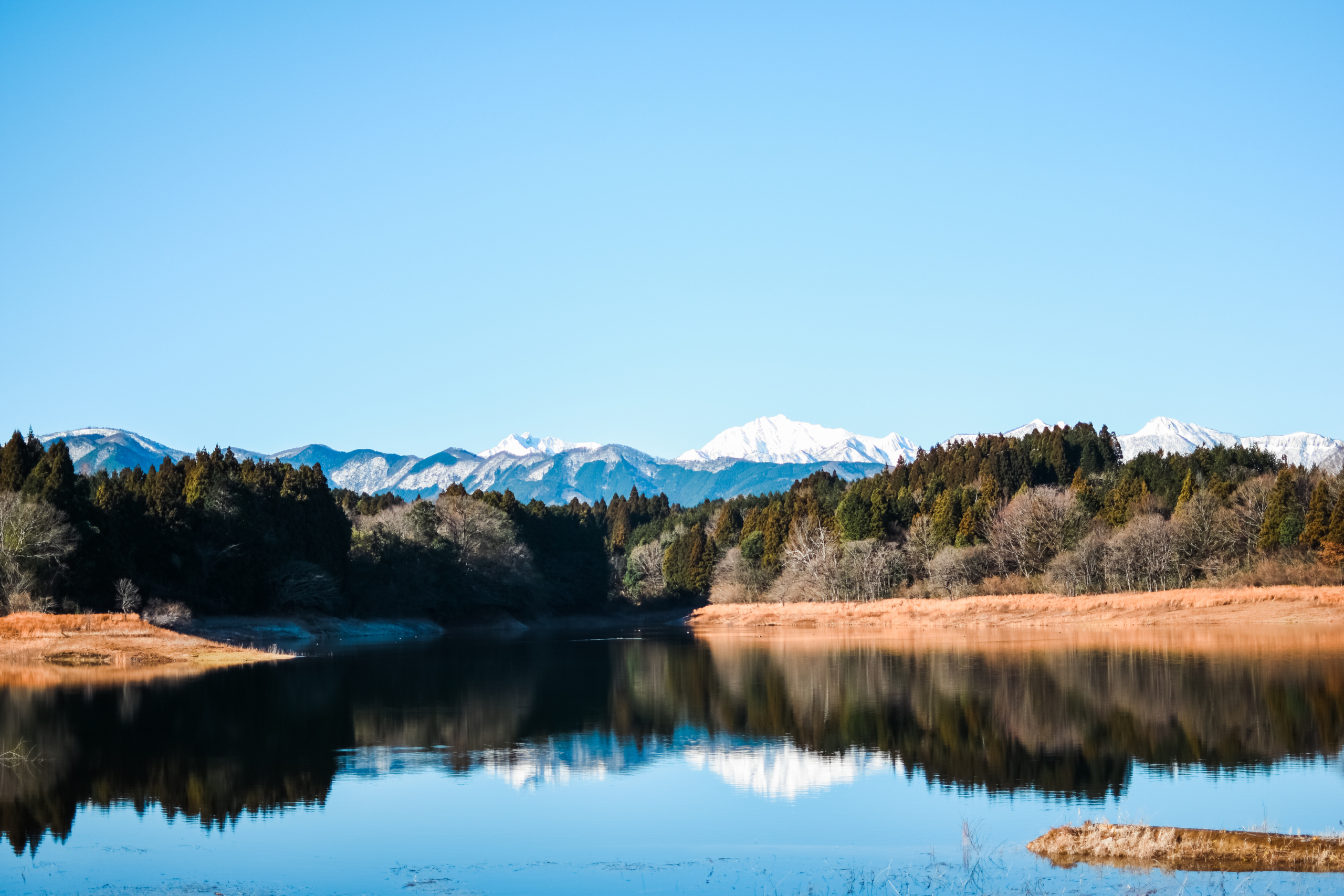大山池野営場