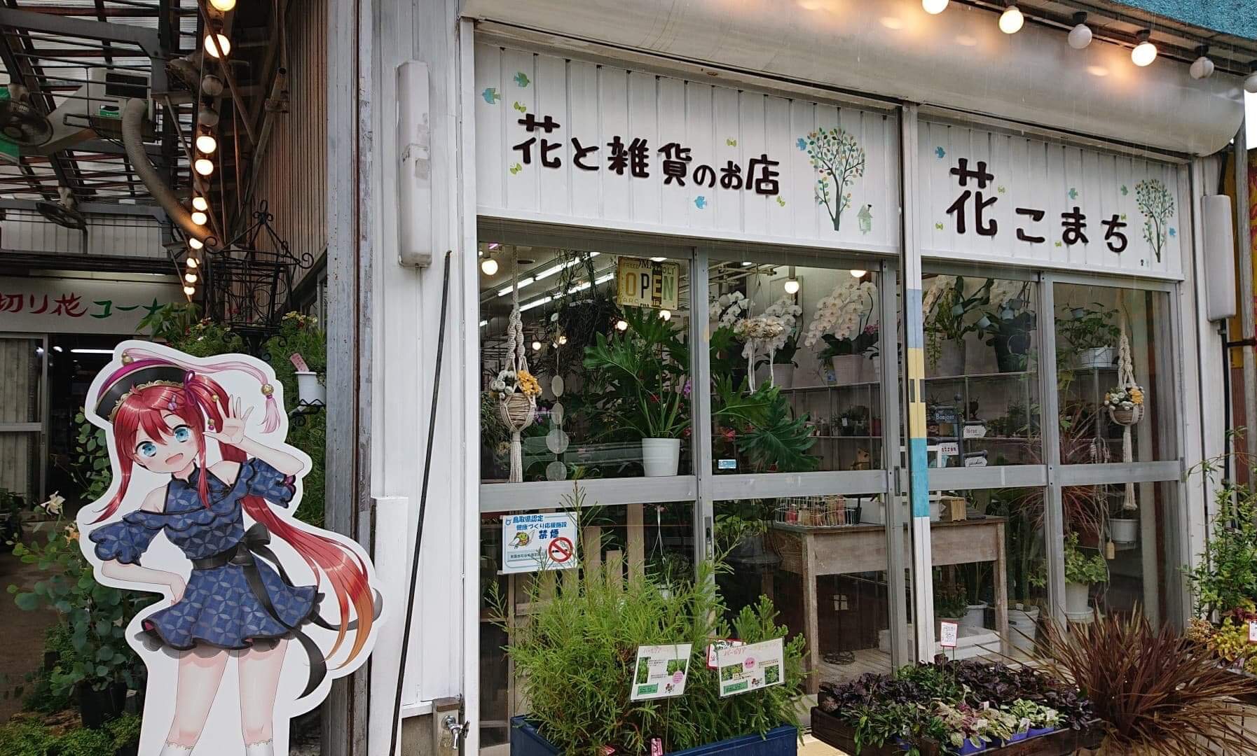 花こまち 谷本種苗園芸 倉吉観光mice協会