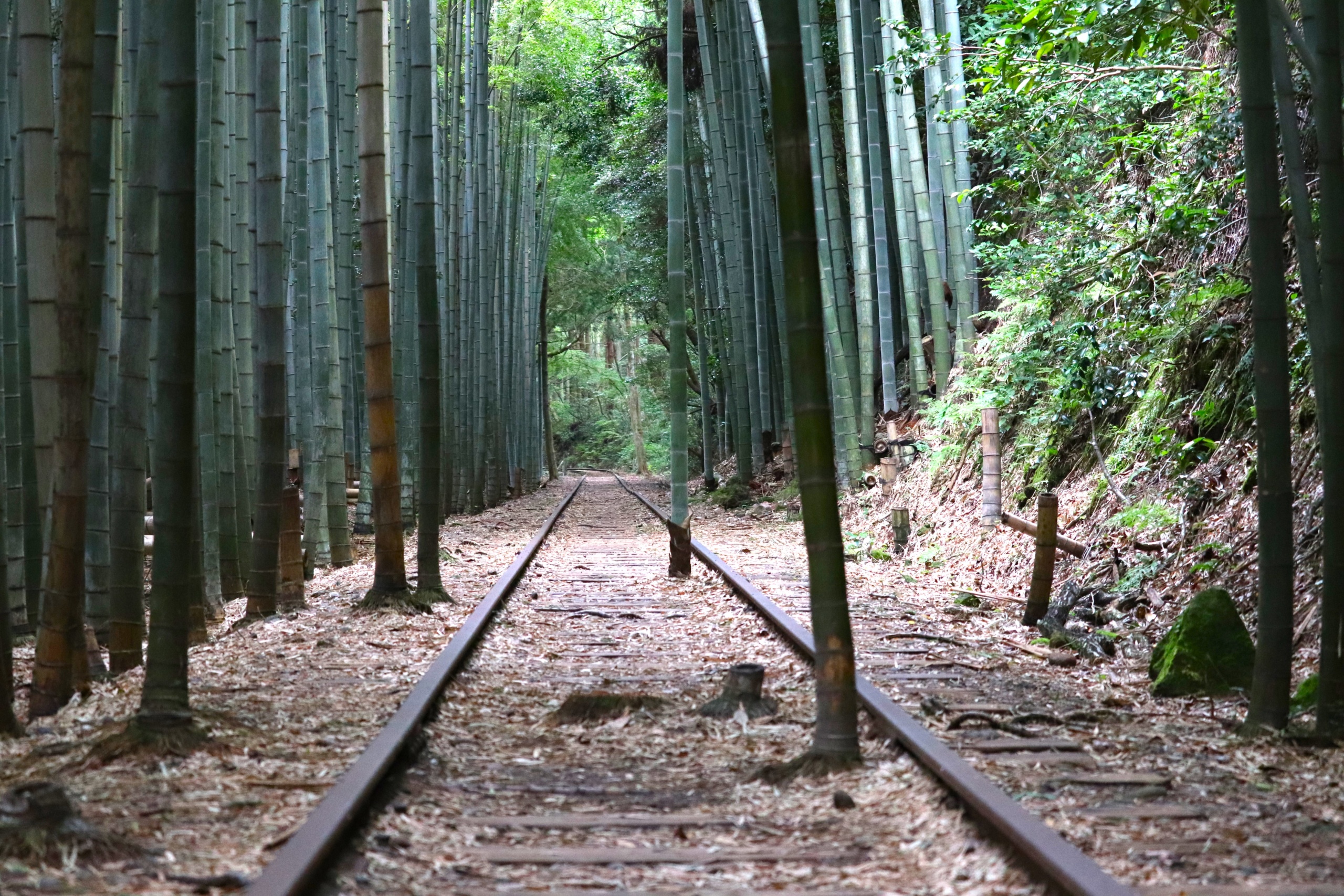 当時のメディア報道・掲載写真